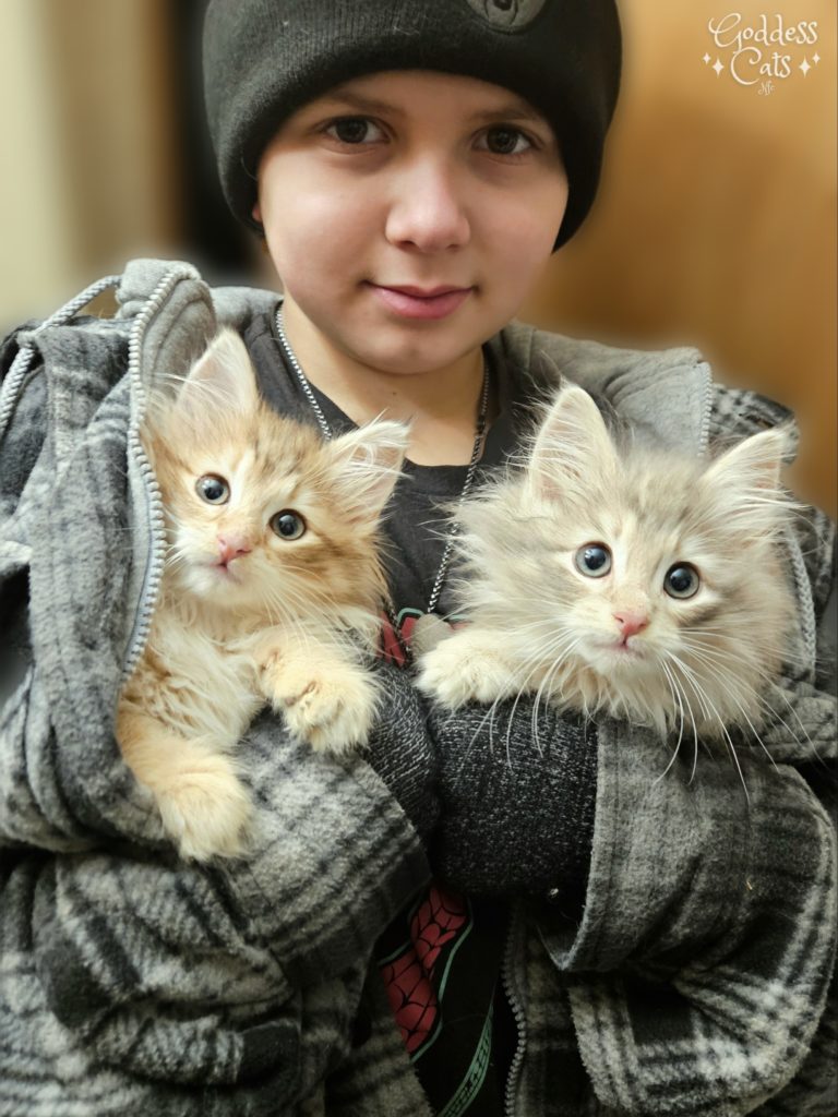 Goddess Cats Of The Forest, image size:768x1024